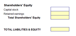 A balance sheet, highlighting the area to enter share holder equity.